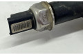 Топливная рампа 9685297580, 123485809   Peugeot Partner  