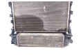 Комплект радиатора FR33-8005-DH, FR33-8C607-BC   Ford Mustang VI