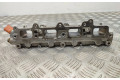 Топливная рампа 3328342, 0261545051   Volkswagen Tiguan   для двигателя Cav