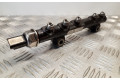 Vstřikovací lišta 9685297580, 28497Z01   Volvo V40    D4162T 