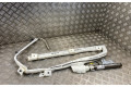 Поршень Надувная подушка для крыши CZVA 4G9880741C  Audi A6 Allroad C7  
