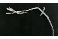 Боковая подушка безопасности 305597110, 305597210   Honda Civic