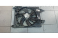 Вентилятор радиатора     8200680824A, 5020232    Renault Scenic II -  Grand scenic II 