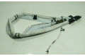Подушка безопасности двери 2071600, 1033996   Ford Tourneo