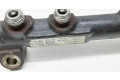 Vstřikovací lišta 96852975, 9670076780   Volvo V60     
