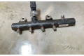 Топливная рампа 175210651R, 161271845   Nissan Juke I F15  