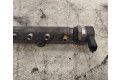 Vstřikovací lišta 0445215023, 31259011   Volvo XC90    D5244T4 