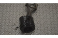 Píst 1714C00749, 342C300749   Land Rover Range Rover Evoque L538    224DT 