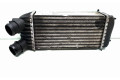 Интеркулер  1498987080, E5531008   Peugeot Expert 