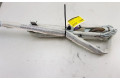 Боковая подушка безопасности 8P3880742E, 8P3880742C   Audi A3 S3 8P