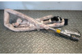 Подушка безопасности двери 3R9880742   Seat Exeo (3R)