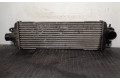 Píst 8200219497, 874869NC   Nissan Primastar    G9UB7 