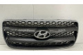 Передняя решётка Hyundai Santa Fe 2006-2012 года E865612B010      