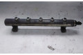 Vstřikovací lišta 0445214174   Opel Antara     