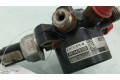 Топливная рампа 1S4Q9D280AD   Ford Focus 1.8 
