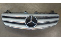 Přední maska  Mercedes-Benz R W251 2007 A2518800383  