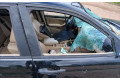 Подрулевой шлейф SRS    BMW 3 E46