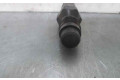 Vstřikovač LCR6736001, LCR6736001   Peugeot 306    WJZ 