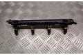 Топливная рампа 036133319BN   Seat Ibiza III (6L)  