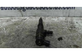 Форсунка 0445110135, INYECTOR    Peugeot 206+ для бензинового двигателя  