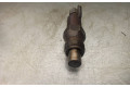Форсунка LCR6735401D, LUCAS    Renault Megane I  F8Q 