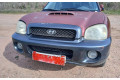 Řídící jednotka    Hyundai Santa Fe 2002
