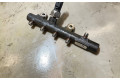 Топливная рампа 175210651R, 161271845   Nissan Juke I F15  