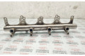 Топливная рампа 06F133317L   Seat Exeo (3R)   для двигателя BWE