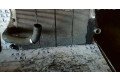 Интеркулер  8200075810   Renault Vel Satis 