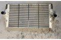 Интеркулер  8200075810, 1306779   Renault Vel Satis 