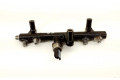 Vstřikovací lišta 968190968003, 9681909680   Citroen DS5    RHH (DW10CTED4) 