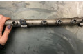 Топливная рампа A6420700495, 0529800390   Mercedes-Benz R W251  