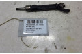 Vstřikovač 166002932R, 166002932R   Nissan Qashqai    HR13DDT 
