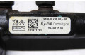 Vstřikovací lišta 9807070880, 9686219510   Peugeot 3008 I     