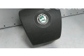 Подушка безопасности водителя 5J0880201D, 5J0880201   Skoda Fabia Mk2 (5J)