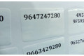 Vstřikovač 9647247280, IMPRK1306379   Peugeot 407     