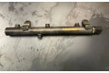 Топливная рампа A6420700695, 0535500446   Mercedes-Benz R W251  