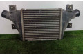 Интеркулер  1530A093, 250X210X63   Mitsubishi ASX 
