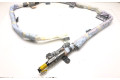 Надувная подушка для крыши    TG10E04001   Subaru WRX