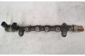 Топливная рампа 03L130089P, 4W0000103   Volkswagen Caddy   для двигателя CFHC