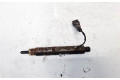 Vstřikovač 7700875035, 0432193754   Volvo S40, V40     