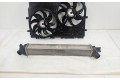 Интеркулер  LB479002, DF630001   Citroen Jumper 
