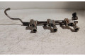 Vstřikovací lišta DM5G9H487AA, 9261555167   Ford Fiesta    SFJB 
