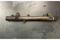Vstřikovací lišta A6420702595, 0728000028   Mercedes-Benz S W221     