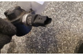 Блок комфорта 8200057345   Nissan Almera N16   