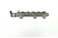 Vstřikovací lišta 013960, 8200718753   Nissan X-Trail T31    M9R 