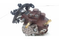 Vstřikovací čerpadlo 9656300380, 0445010102   Ford Focus C-MAX  pro naftový motor 1.6  