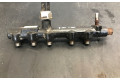 Топливная рампа 9674300080, 94675G01   Citroen Jumper  