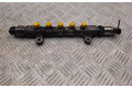 Vstřikovací lišta 238100R020, 8945860010   Toyota Corolla Verso AR10    2ADFHV 