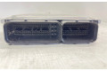 Řídící jednotka 03L907309H, 03L906022JG   Volkswagen Multivan T5 2009